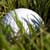 Playing From the Rough