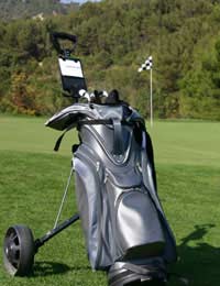 Golf Trolley Trolleys Bag Cart Straps